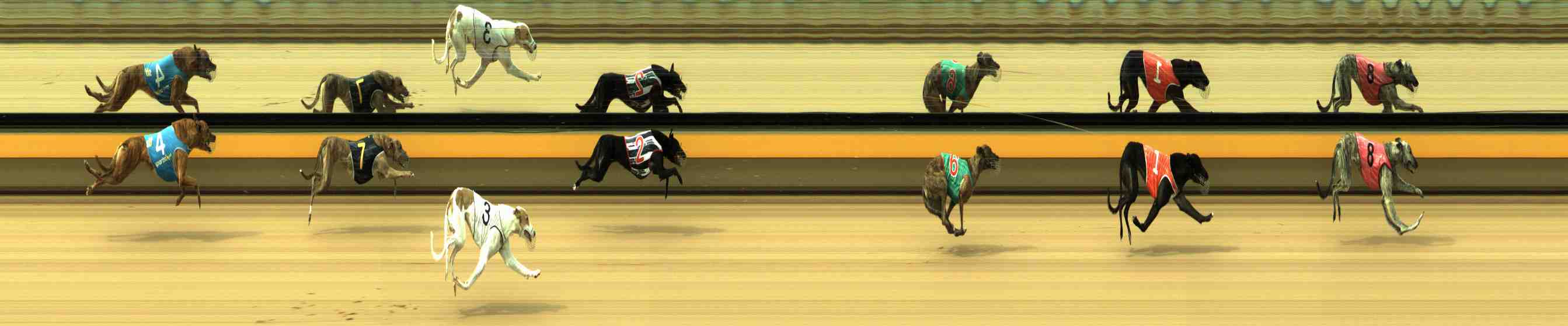 Photo finish for Horsham Race 4