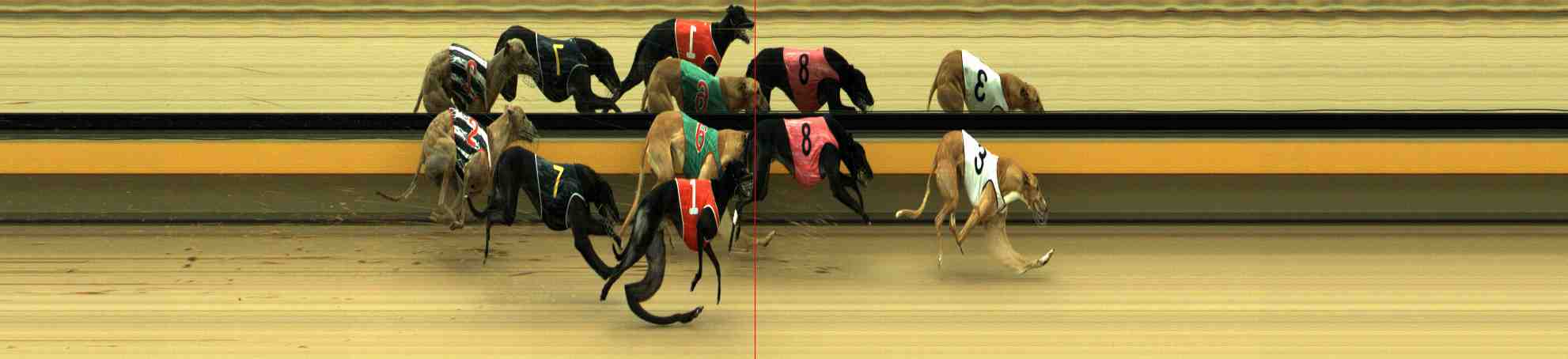 Photo finish for Horsham Race 5
