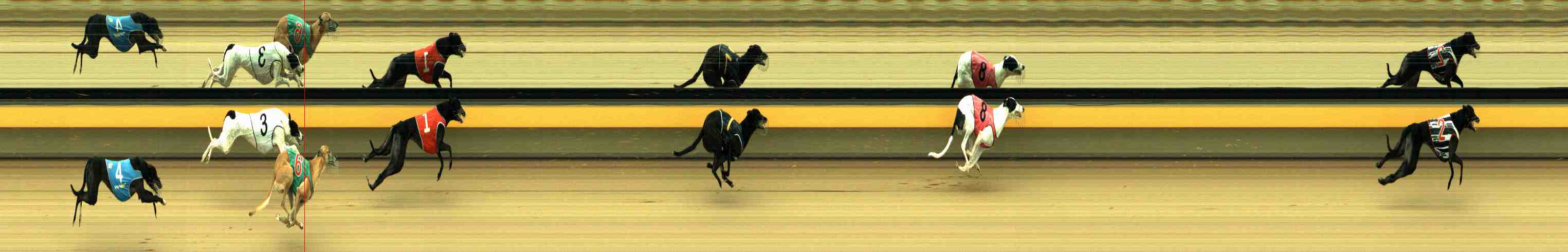 Photo finish for Horsham Race 6