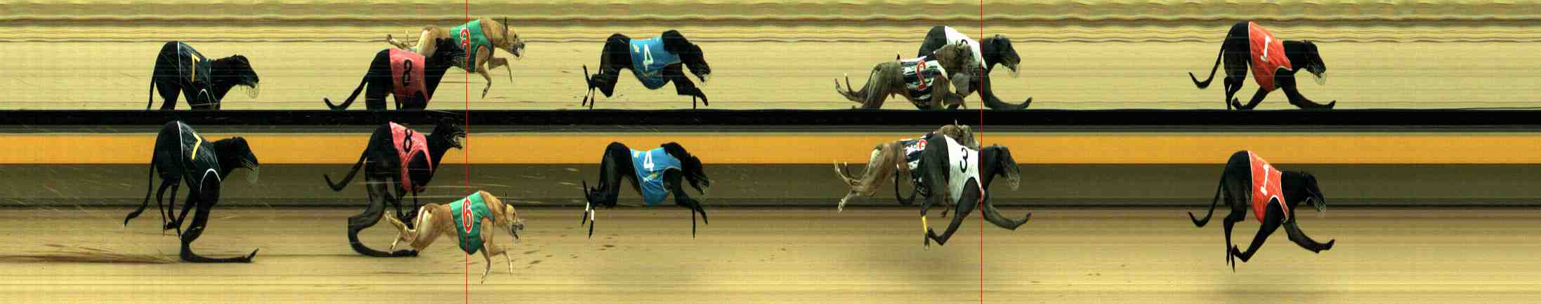 Photo finish for Horsham Race 7