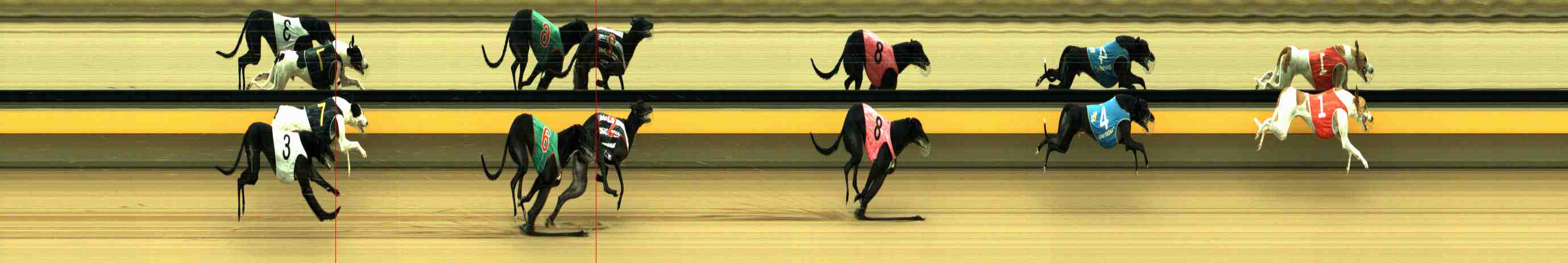 Photo finish for Horsham Race 8