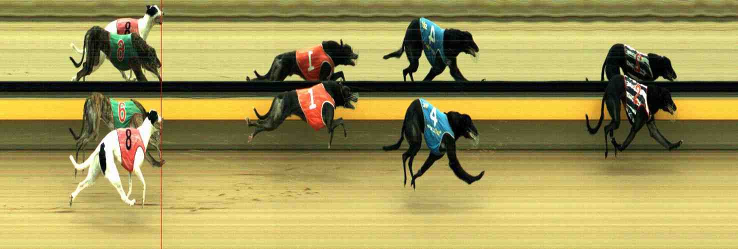 Photo finish for Horsham Race 9