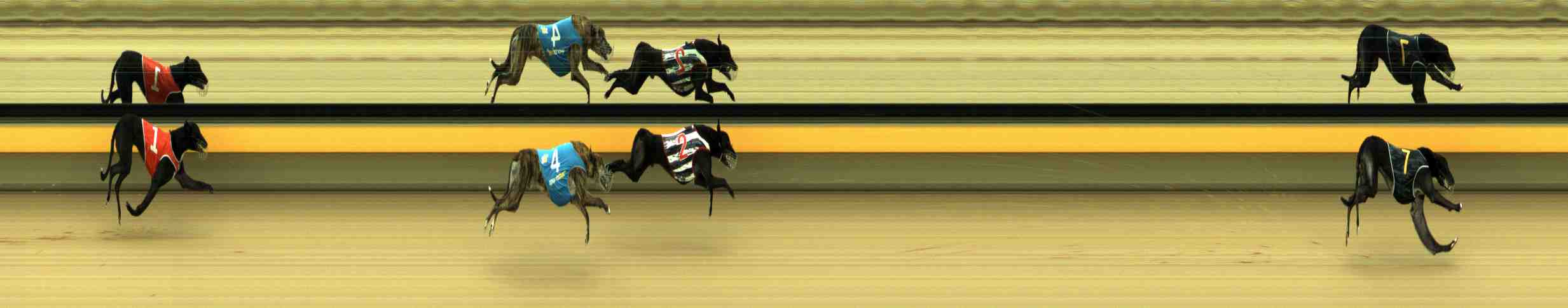 Photo finish for Horsham Race 10
