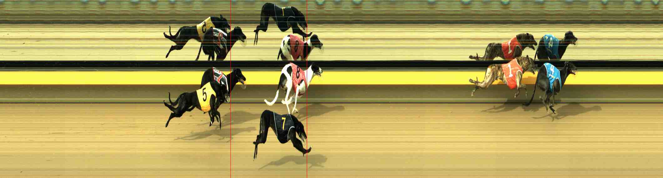 Photo finish for Horsham Race 11