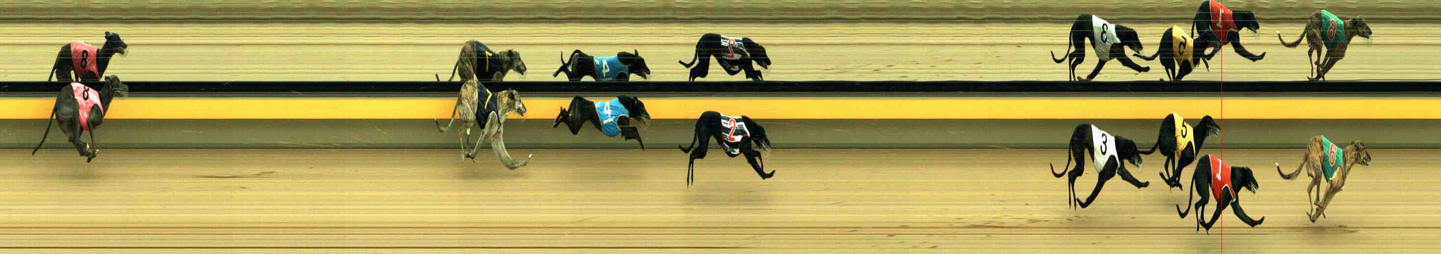 Photo finish for Horsham Race 12
