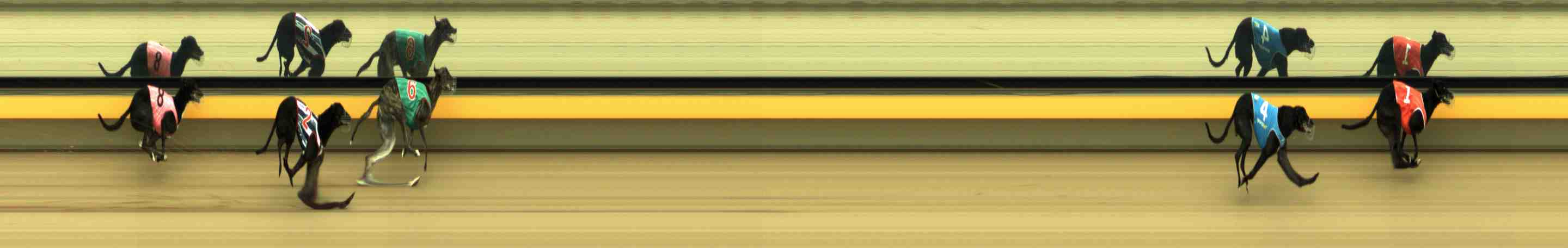 Photo finish for Horsham Race 1