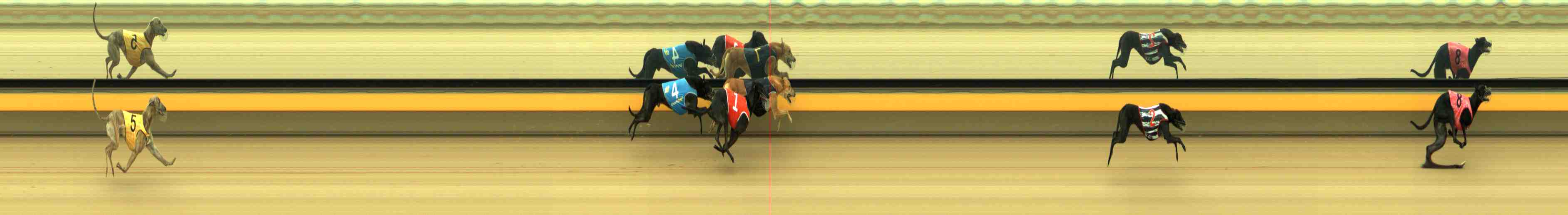 Photo finish for Horsham Race 2