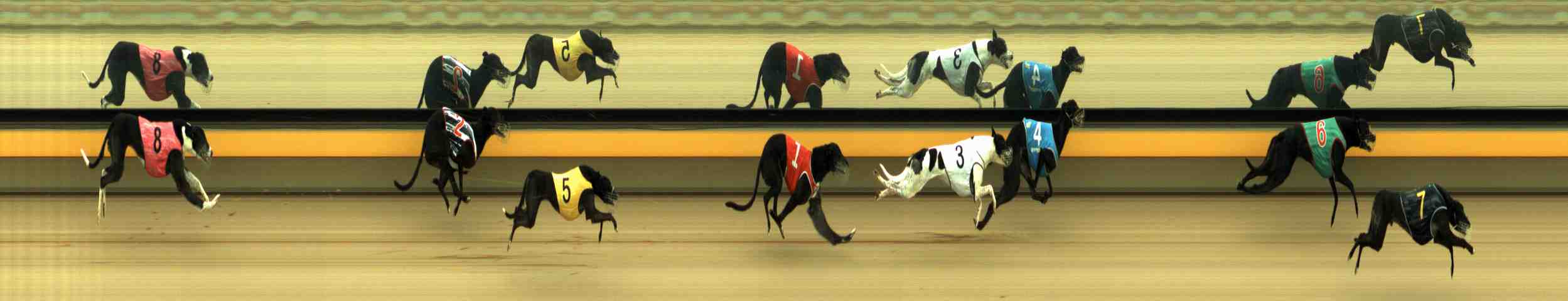 Photo finish for Horsham Race 3