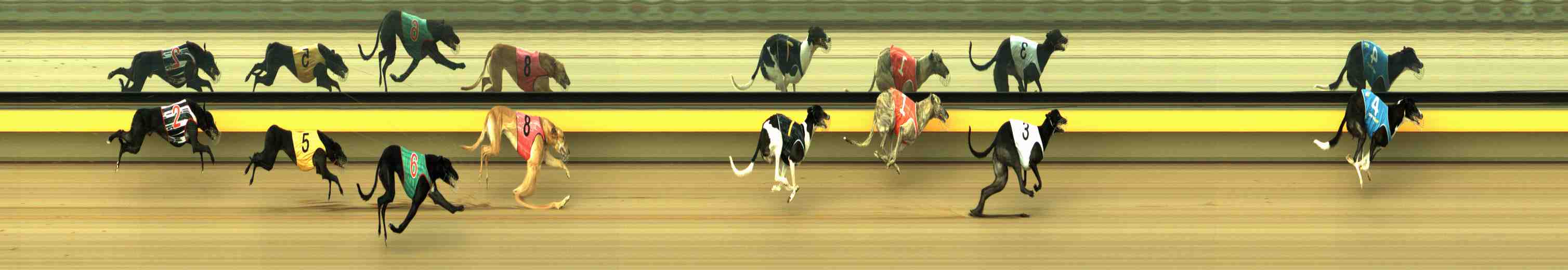 Photo finish for Horsham Race 4