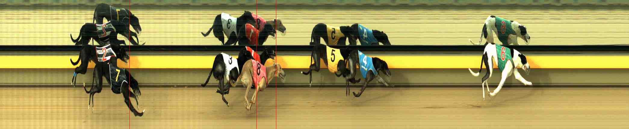 Photo finish for Horsham Race 5
