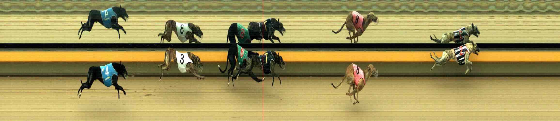 Photo finish for Horsham Race 6