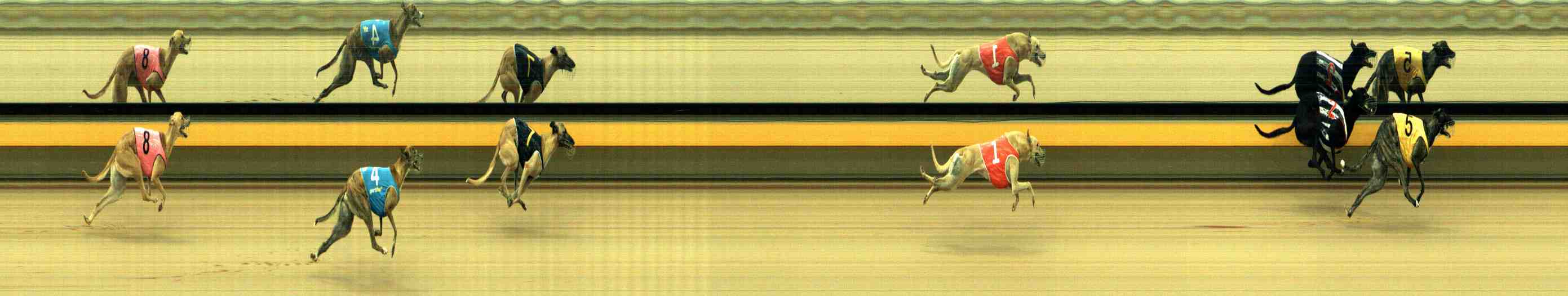 Photo finish for Horsham Race 7