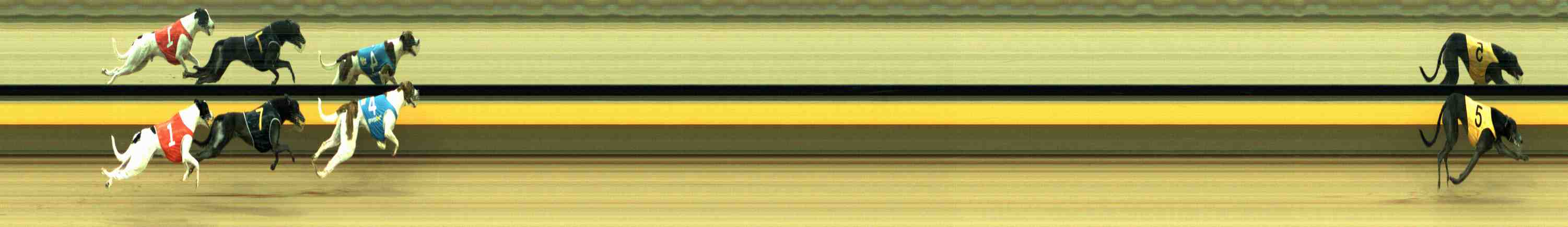 Photo finish for Horsham Race 8
