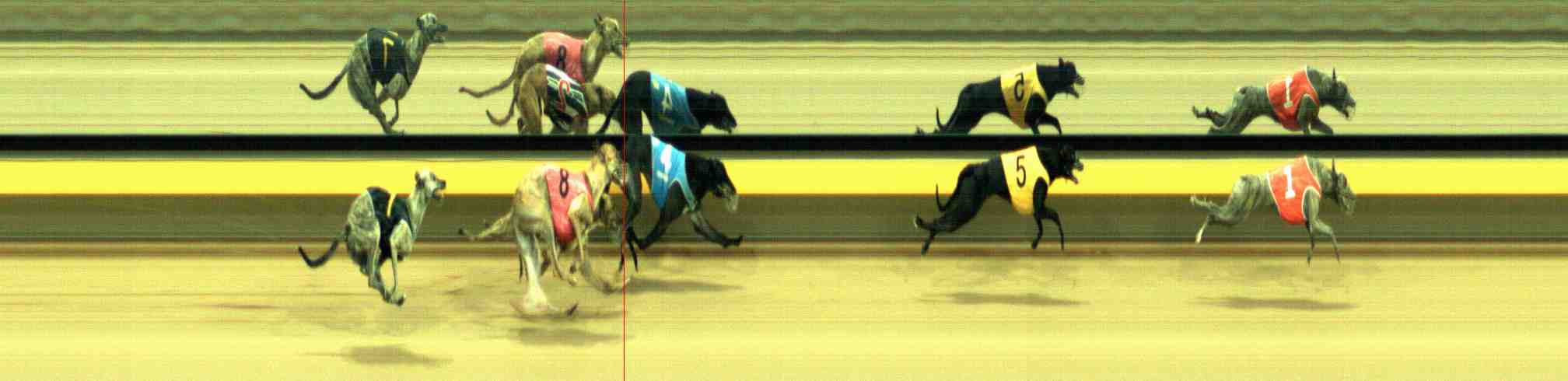 Photo finish for Horsham Race 9