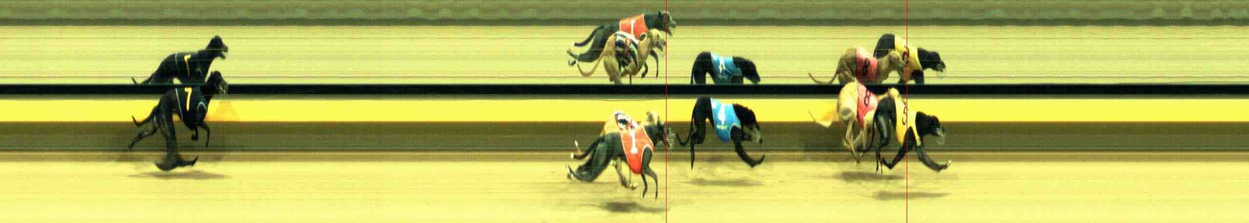 Photo finish for Horsham Race 10
