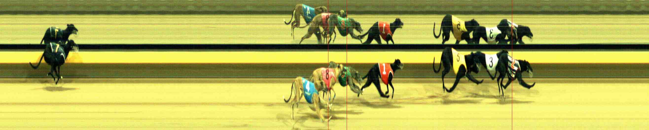 Photo finish for Horsham Race 11