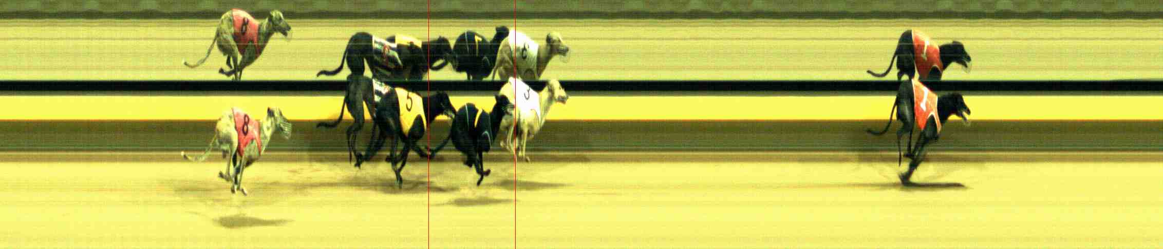 Photo finish for Horsham Race 12