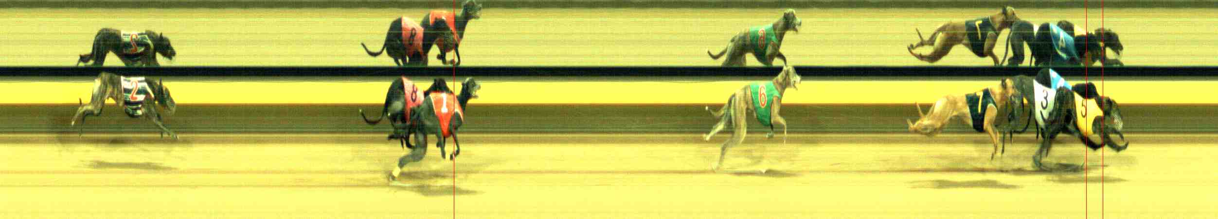 Photo finish for Horsham Race 13