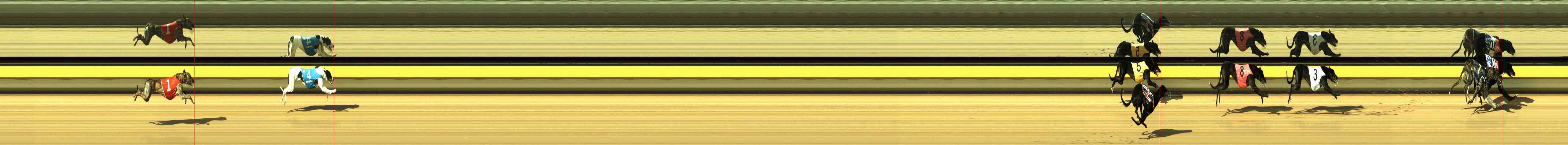 Photo finish for Horsham Race 1