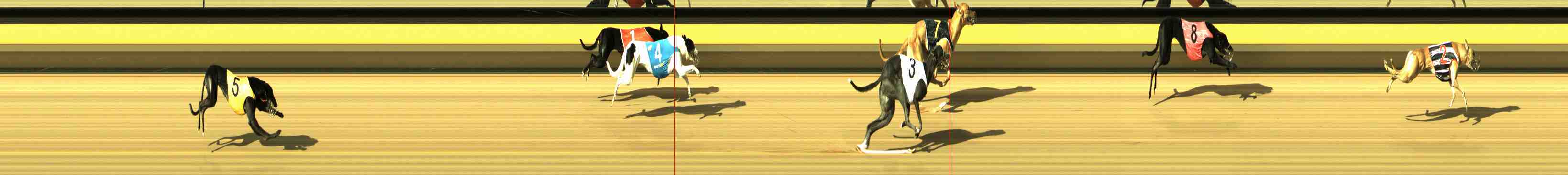Photo finish for Horsham Race 2