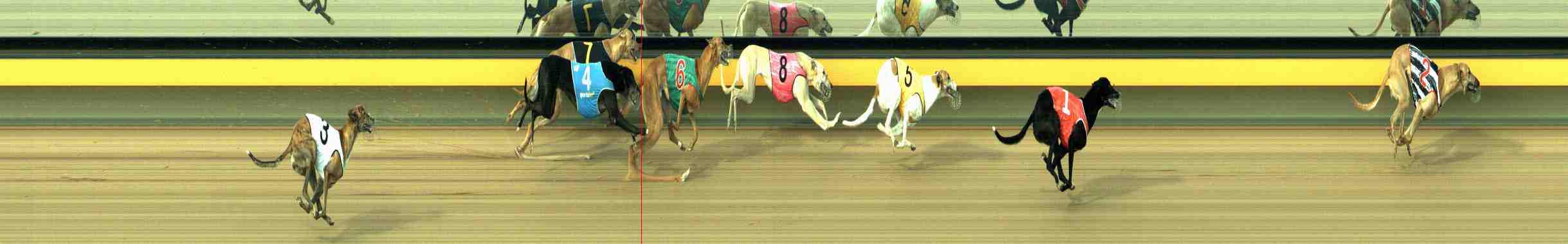 Photo finish for Horsham Race 3