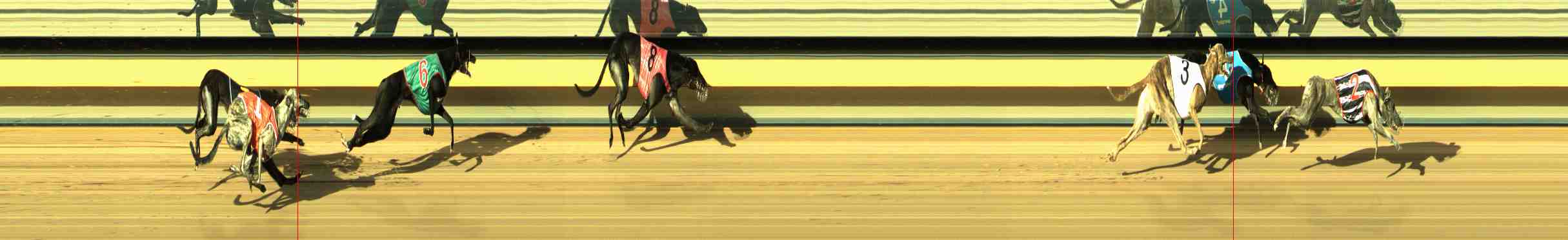 Photo finish for Horsham Race 4