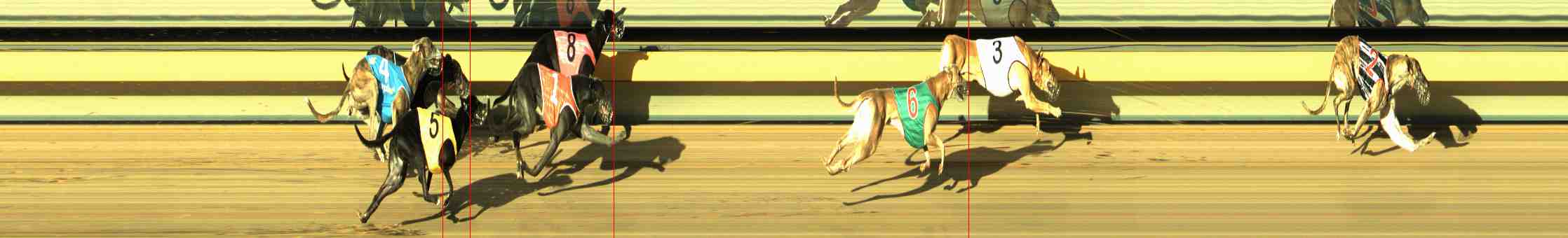Photo finish for Horsham Race 5