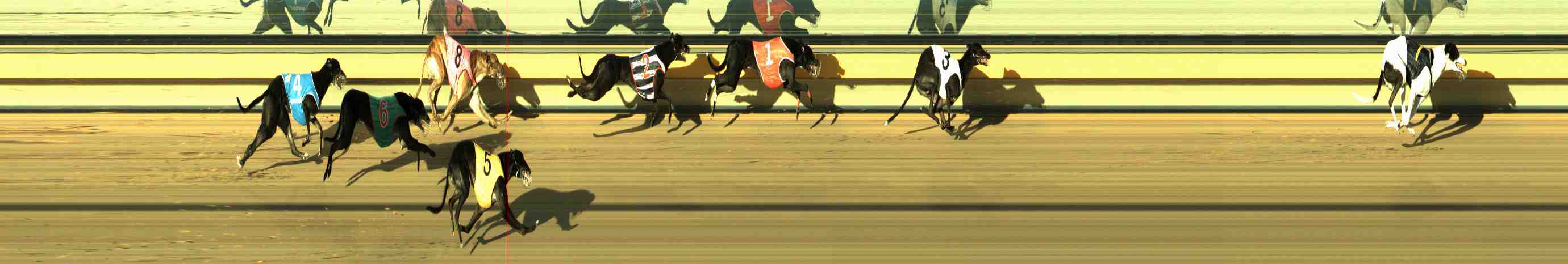 Photo finish for Horsham Race 6