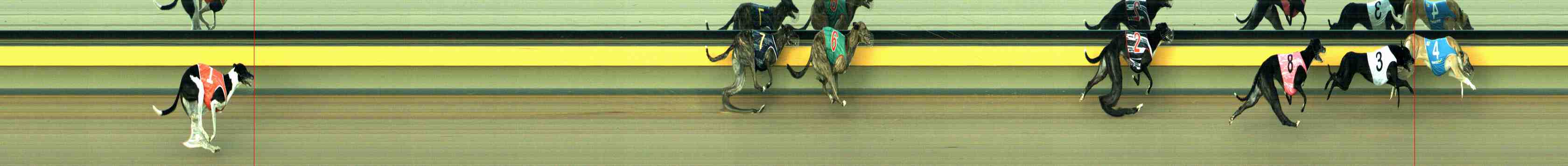 Photo finish for Horsham Race 7