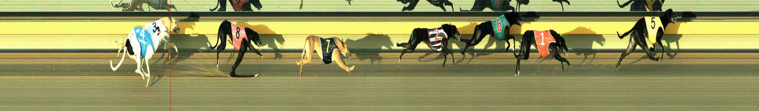 Photo finish for Horsham Race 8