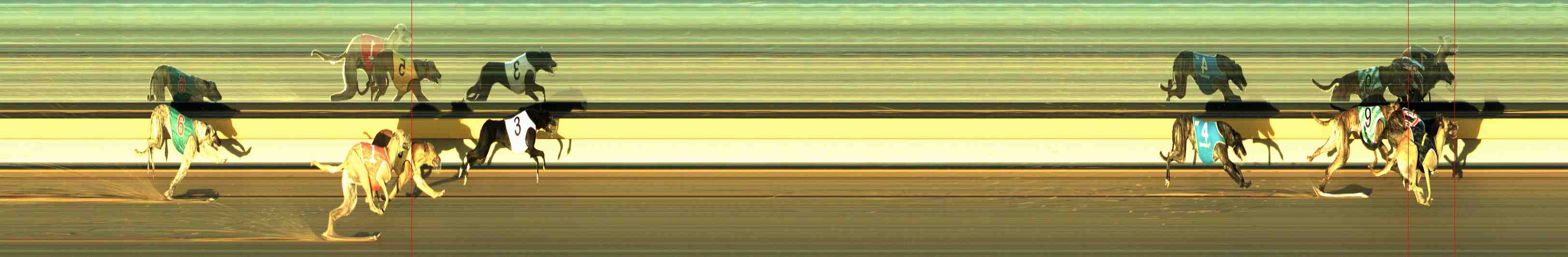 Photo finish for Horsham Race 9