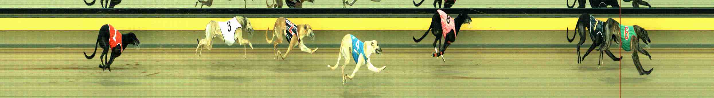 Photo finish for Horsham Race 10