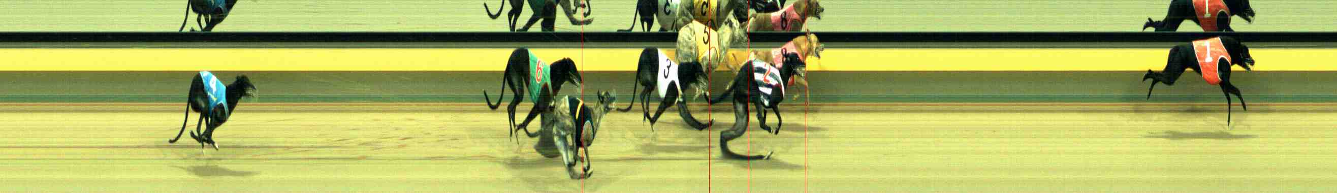 Photo finish for Horsham Race 11