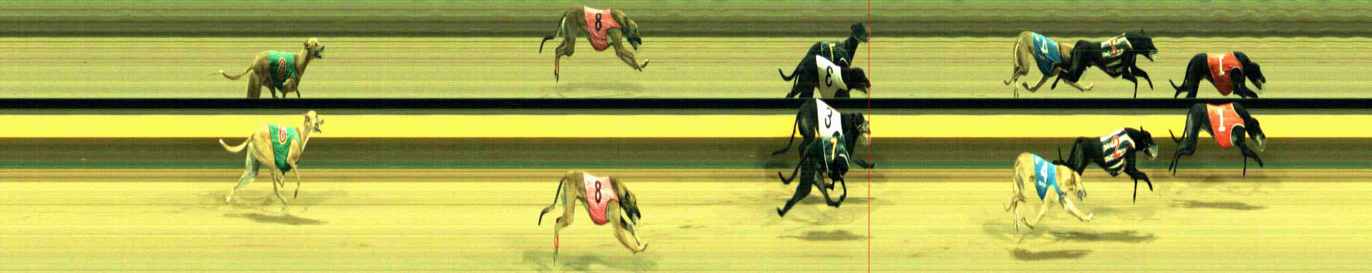 Photo finish for Horsham Race 12