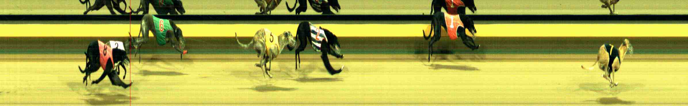 Photo finish for Horsham Race 13