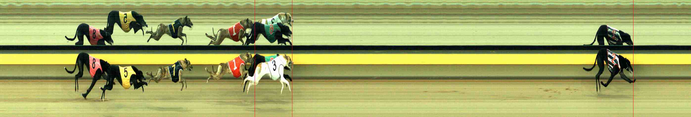 Photo finish for Horsham Race 2