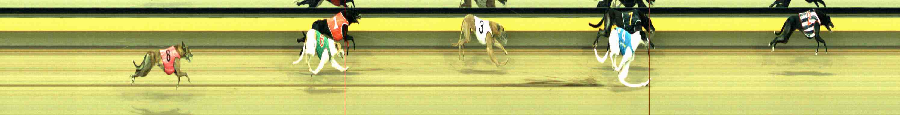 Photo finish for Horsham Race 3