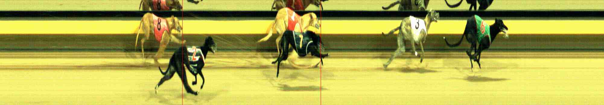 Photo finish for Horsham Race 5