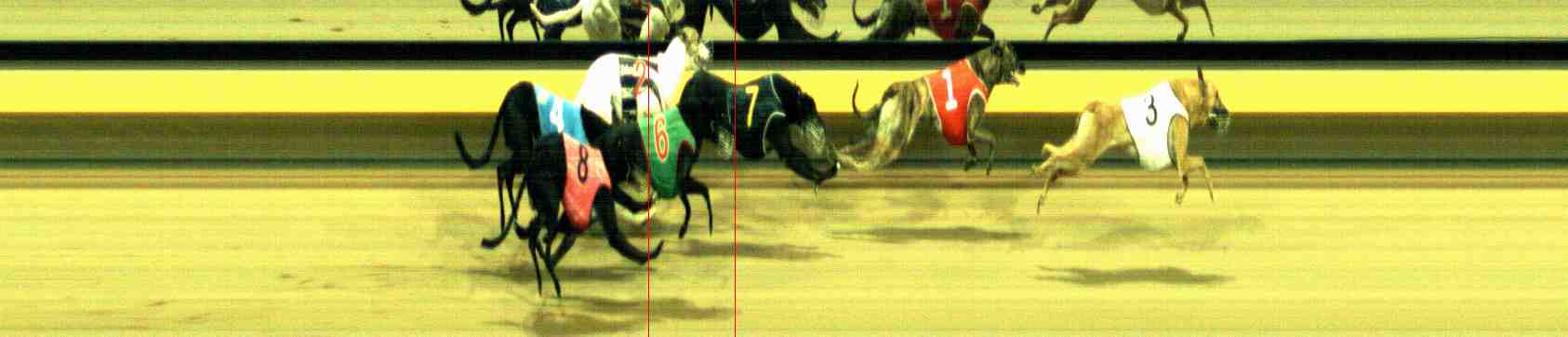 Photo finish for Horsham Race 6