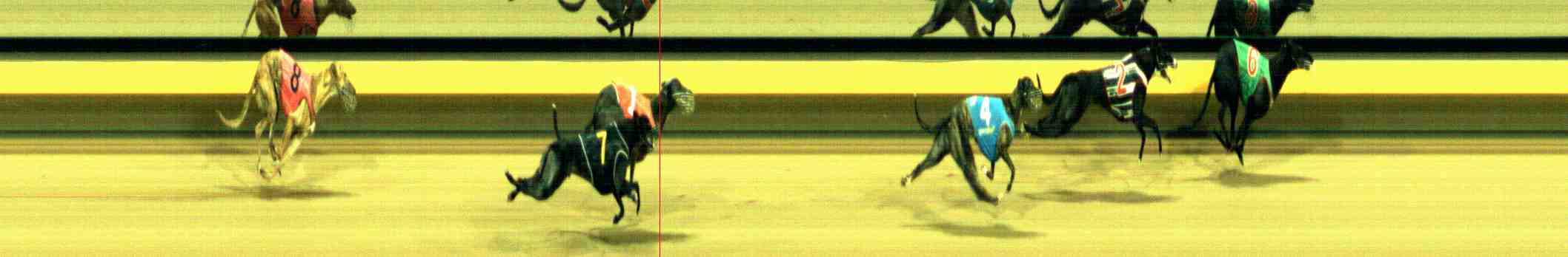 Photo finish for Horsham Race 7