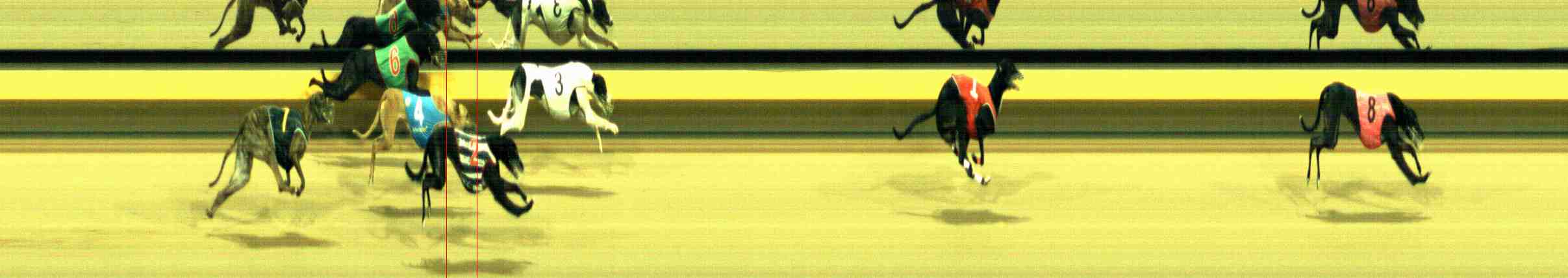 Photo finish for Horsham Race 8