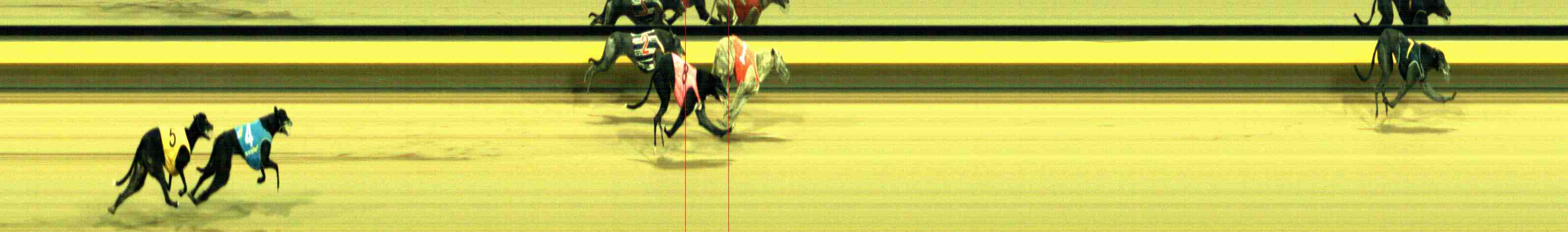 Photo finish for Horsham Race 9