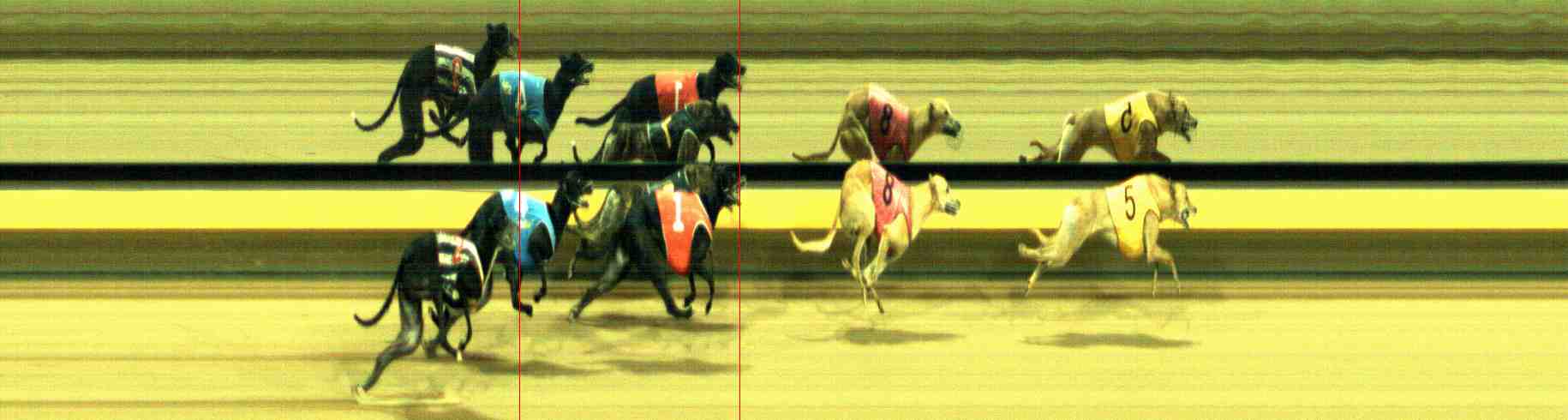 Photo finish for Horsham Race 10
