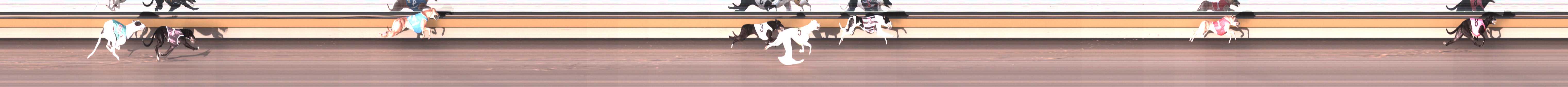 Photo finish for Horsham Race 1
