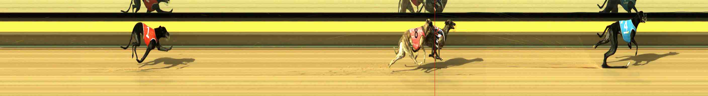 Photo finish for Horsham Race 1