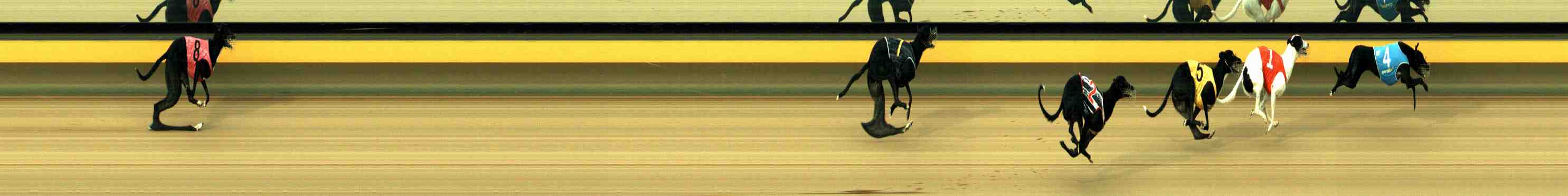 Photo finish for Horsham Race 2