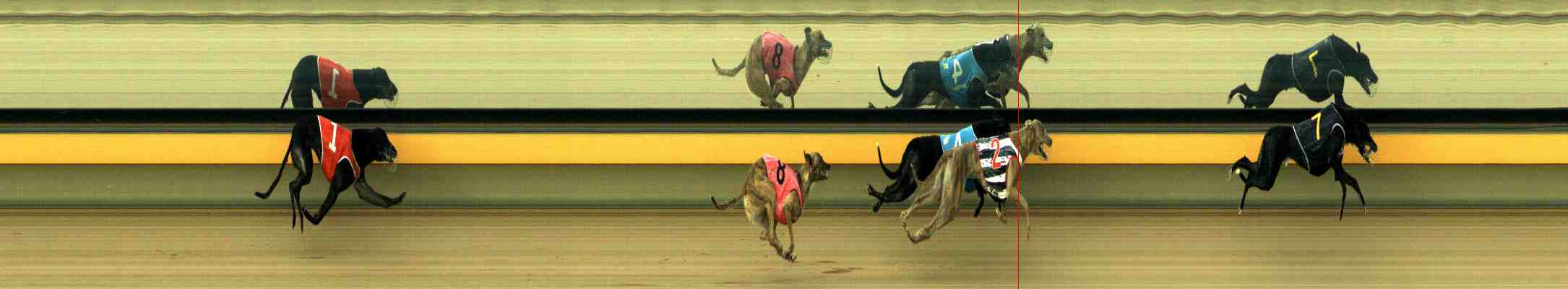 Photo finish for Horsham Race 3