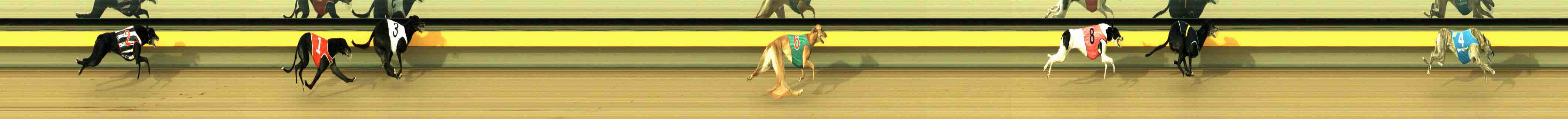 Photo finish for Horsham Race 4