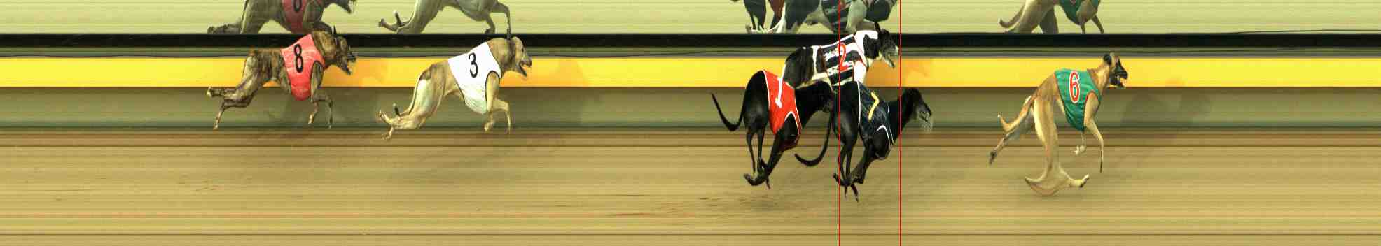 Photo finish for Horsham Race 5