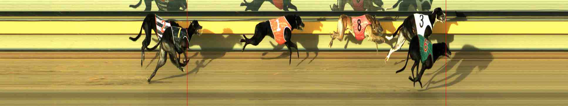 Photo finish for Horsham Race 6